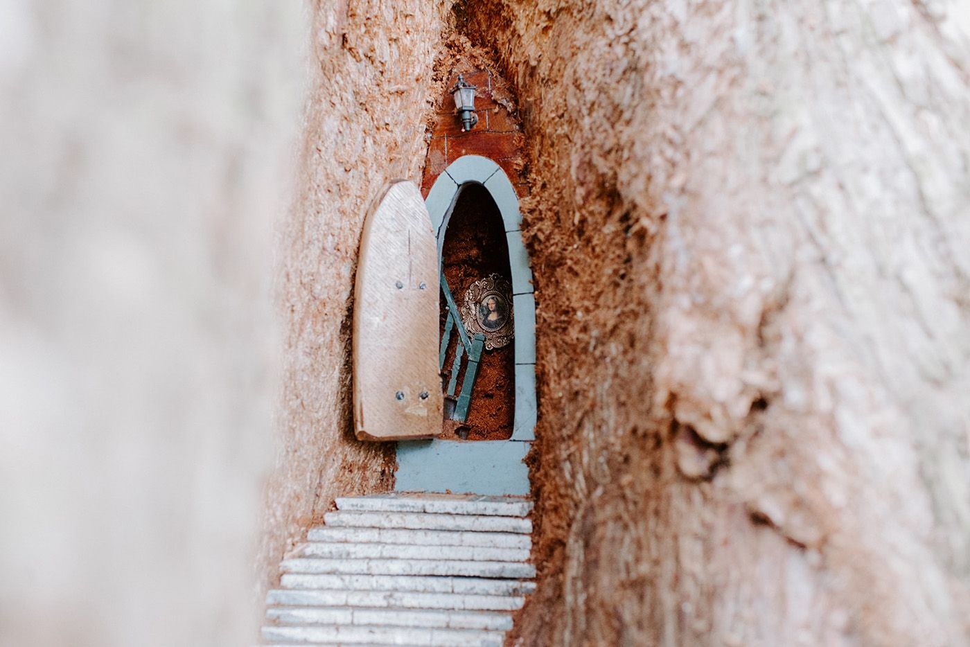 A tiny fairy door set into the trunk of a tree in the grounds